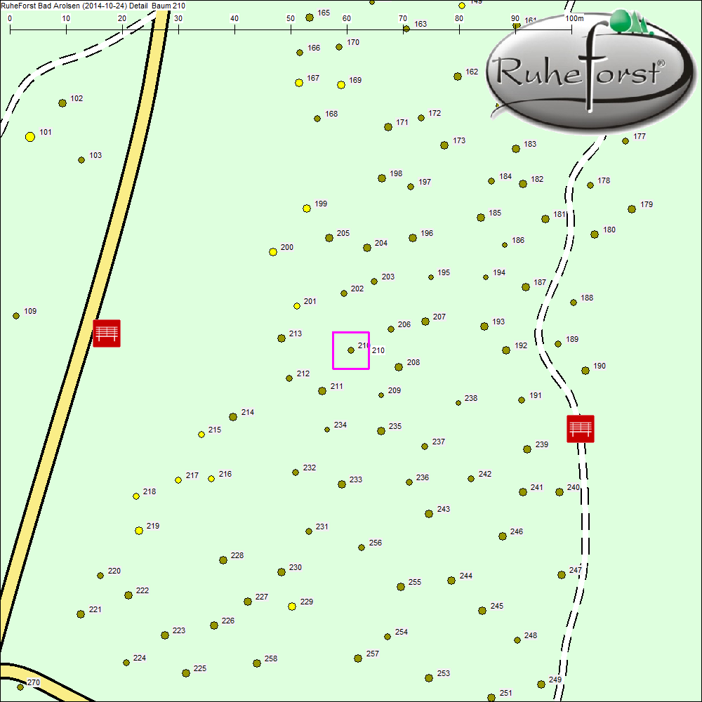 Detailkarte zu Baum 210