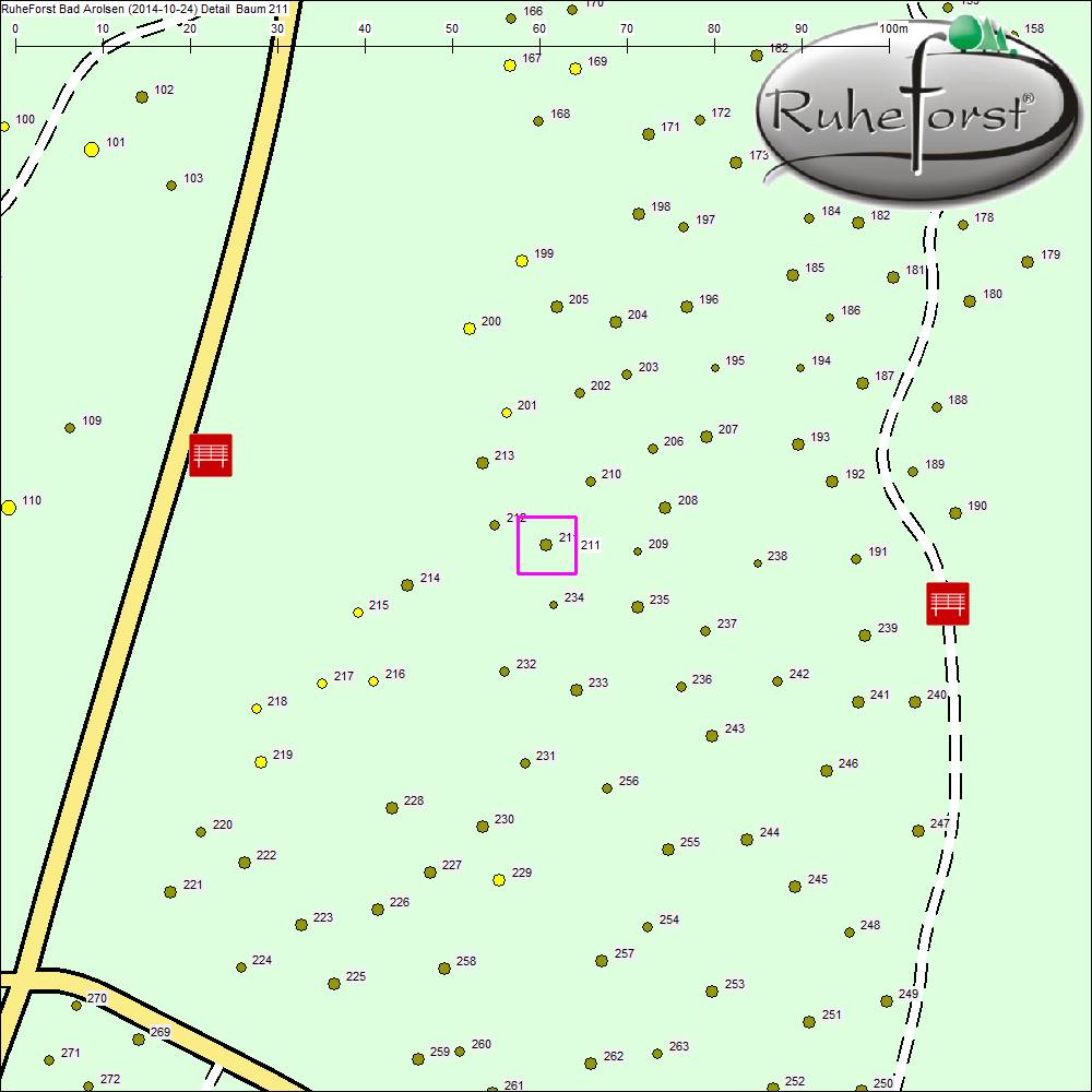 Detailkarte zu Baum 211