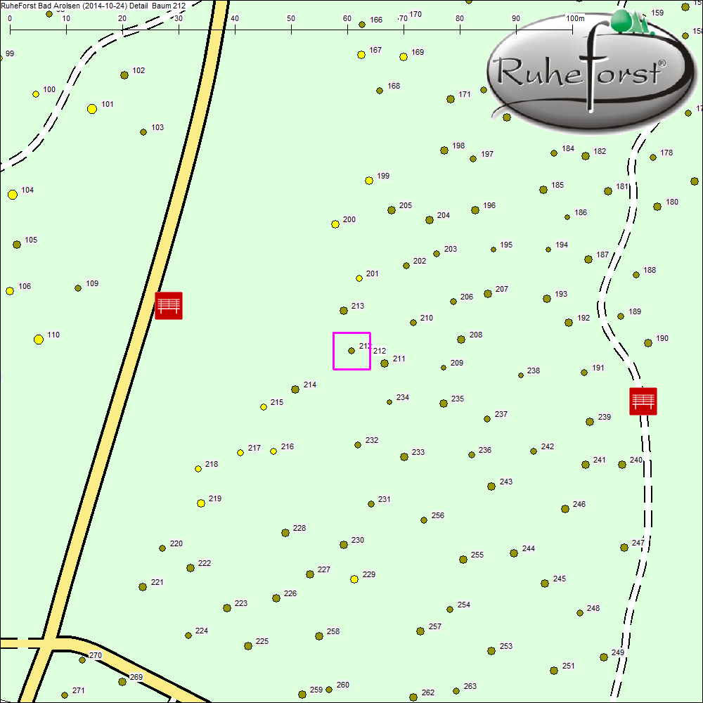 Detailkarte zu Baum 212