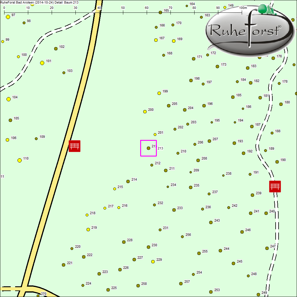 Detailkarte zu Baum 213