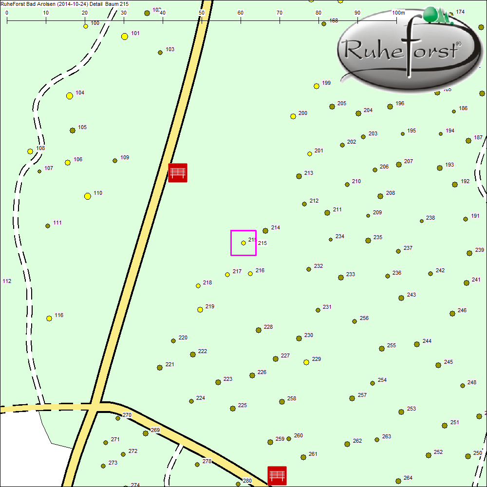 Detailkarte zu Baum 215