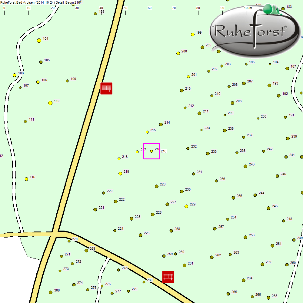 Detailkarte zu Baum 216