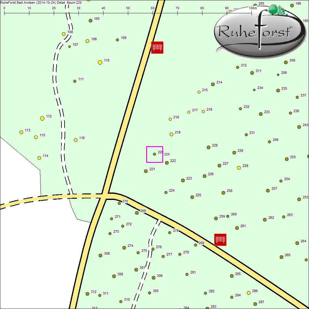 Detailkarte zu Baum 220