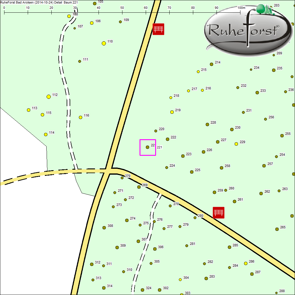 Detailkarte zu Baum 221