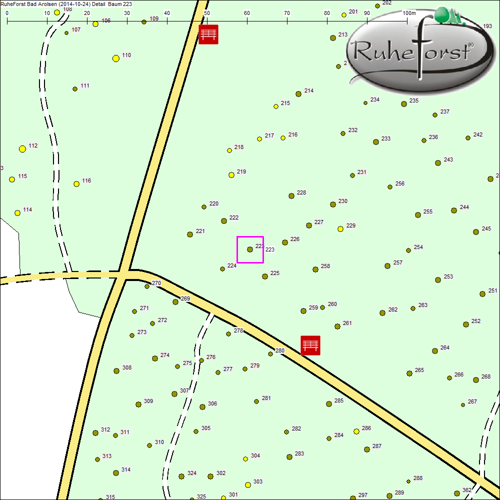 Detailkarte zu Baum 223