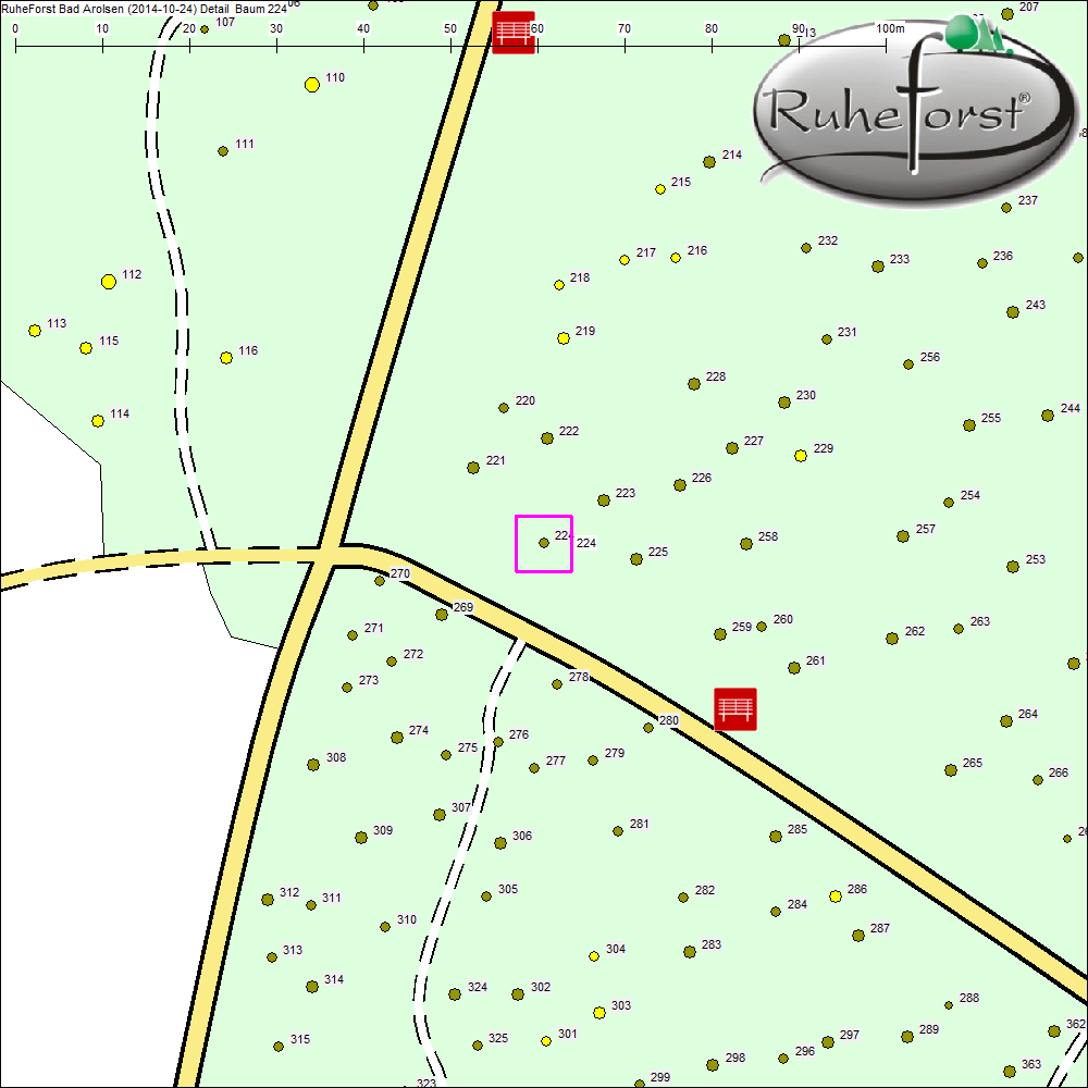 Detailkarte zu Baum 224