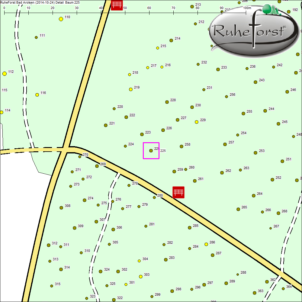 Detailkarte zu Baum 225