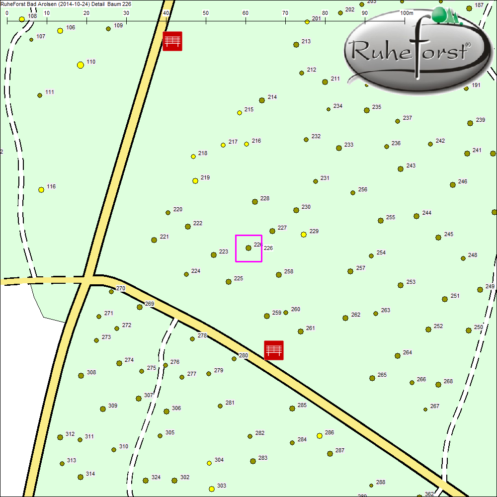 Detailkarte zu Baum 226