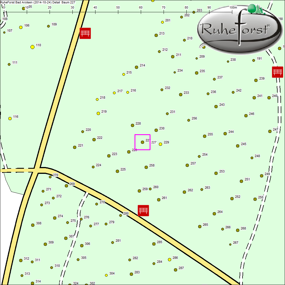 Detailkarte zu Baum 227
