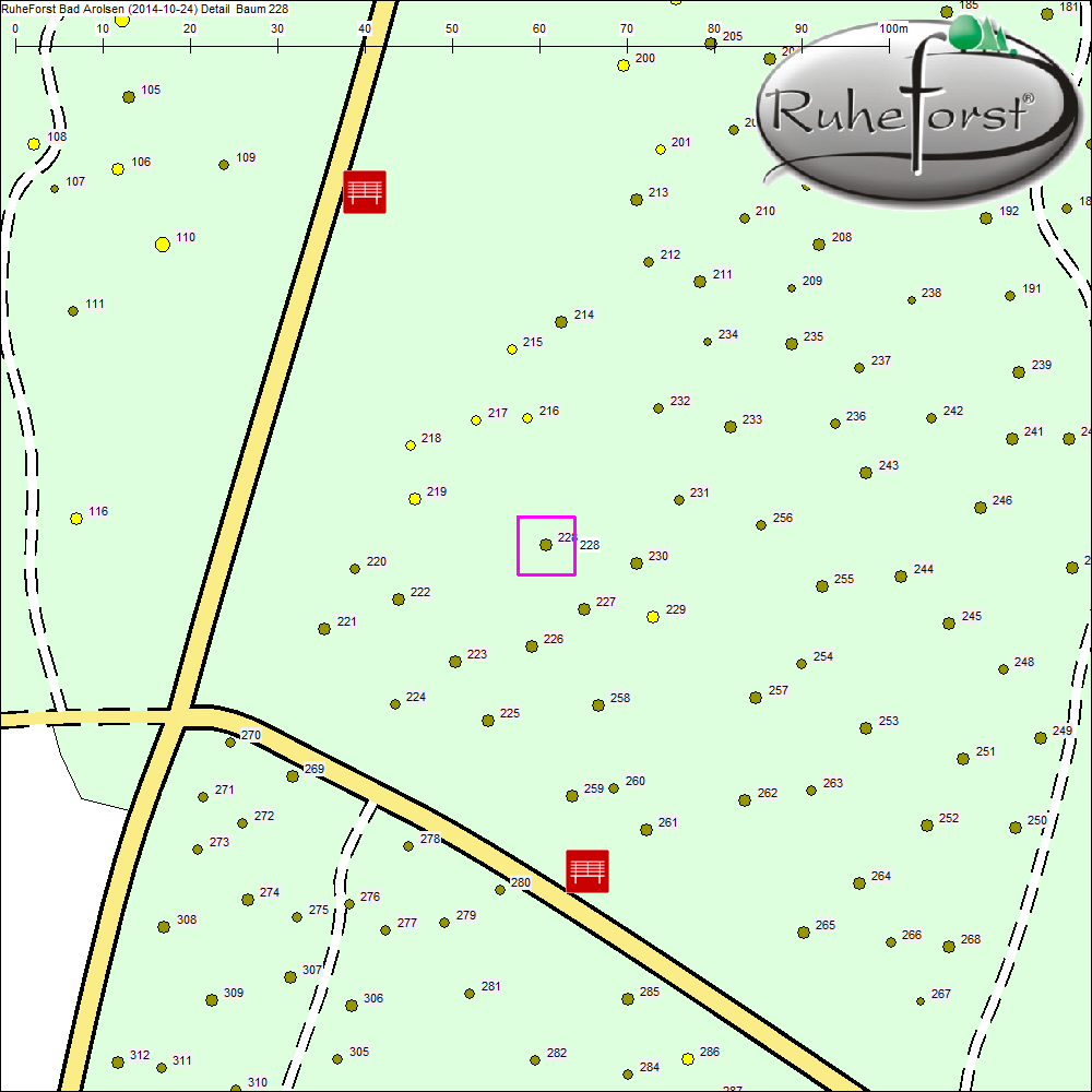 Detailkarte zu Baum 228