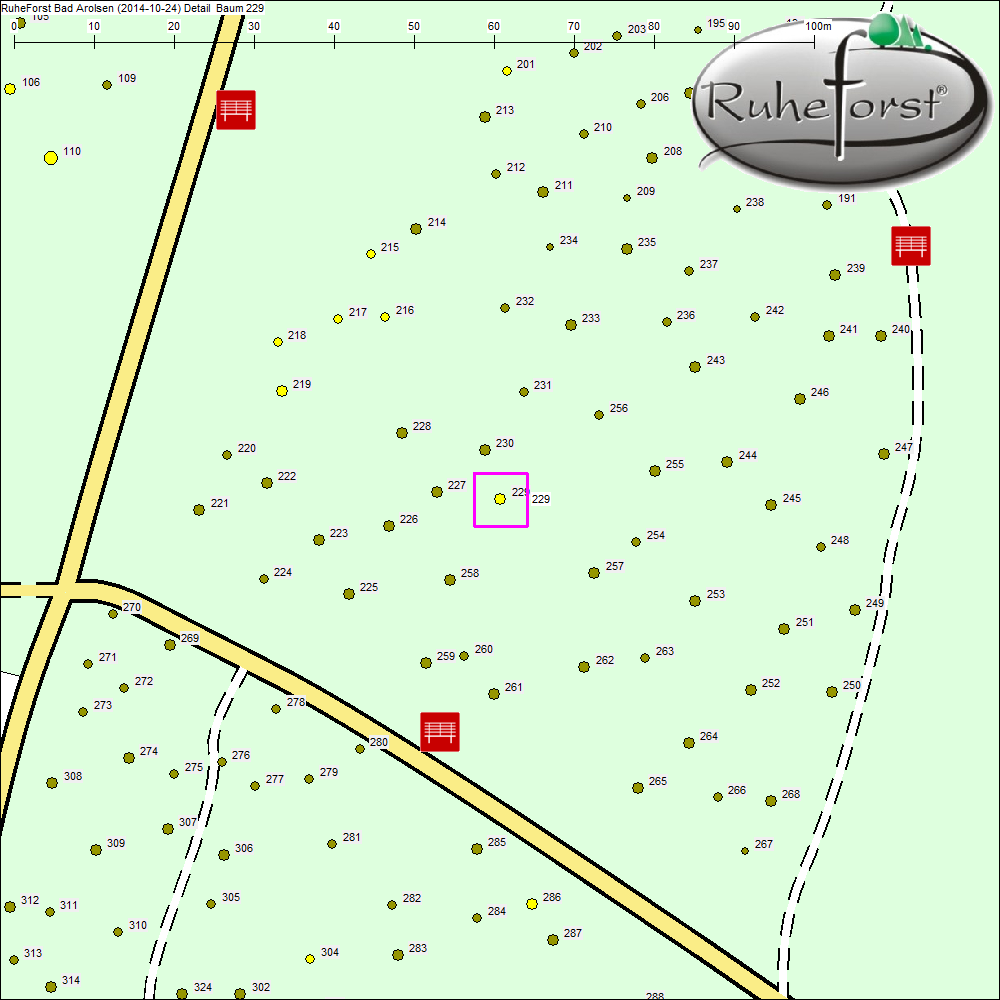 Detailkarte zu Baum 229