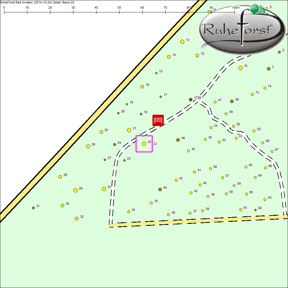 Detailkarte zu Baum 22