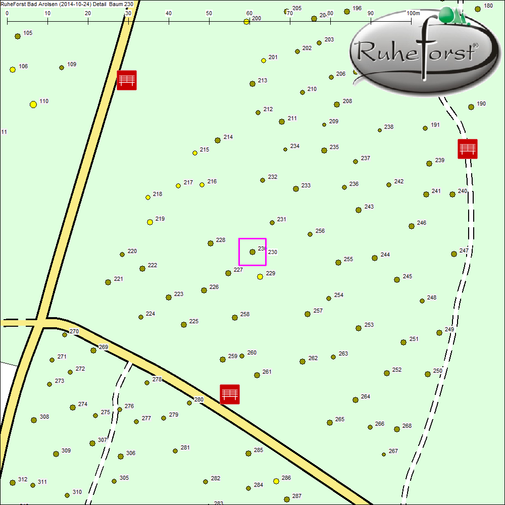 Detailkarte zu Baum 230
