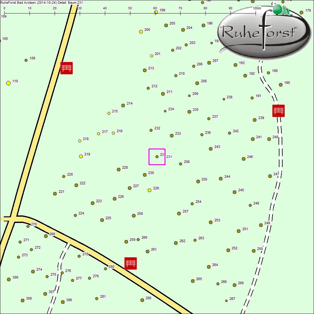 Detailkarte zu Baum 231