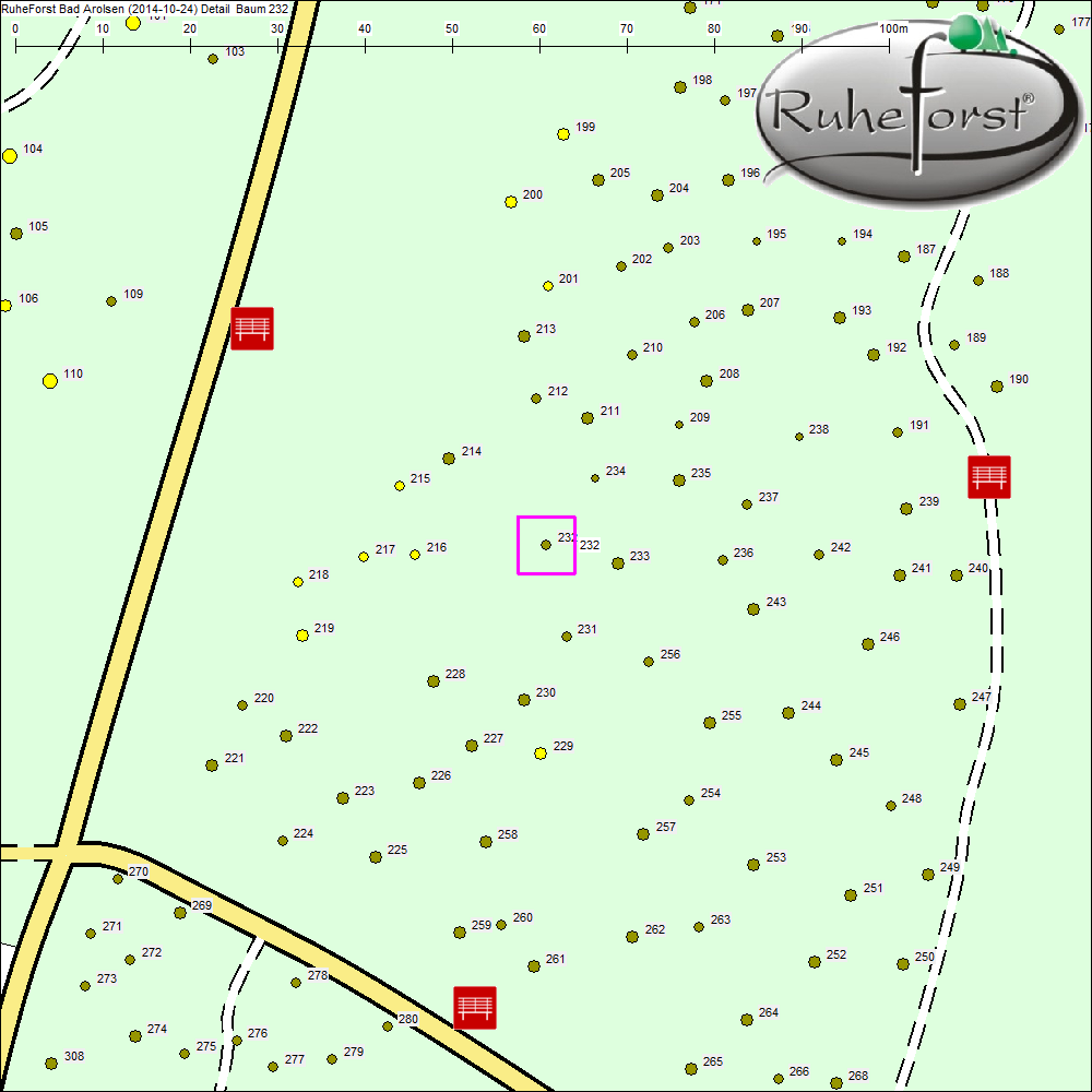 Detailkarte zu Baum 232