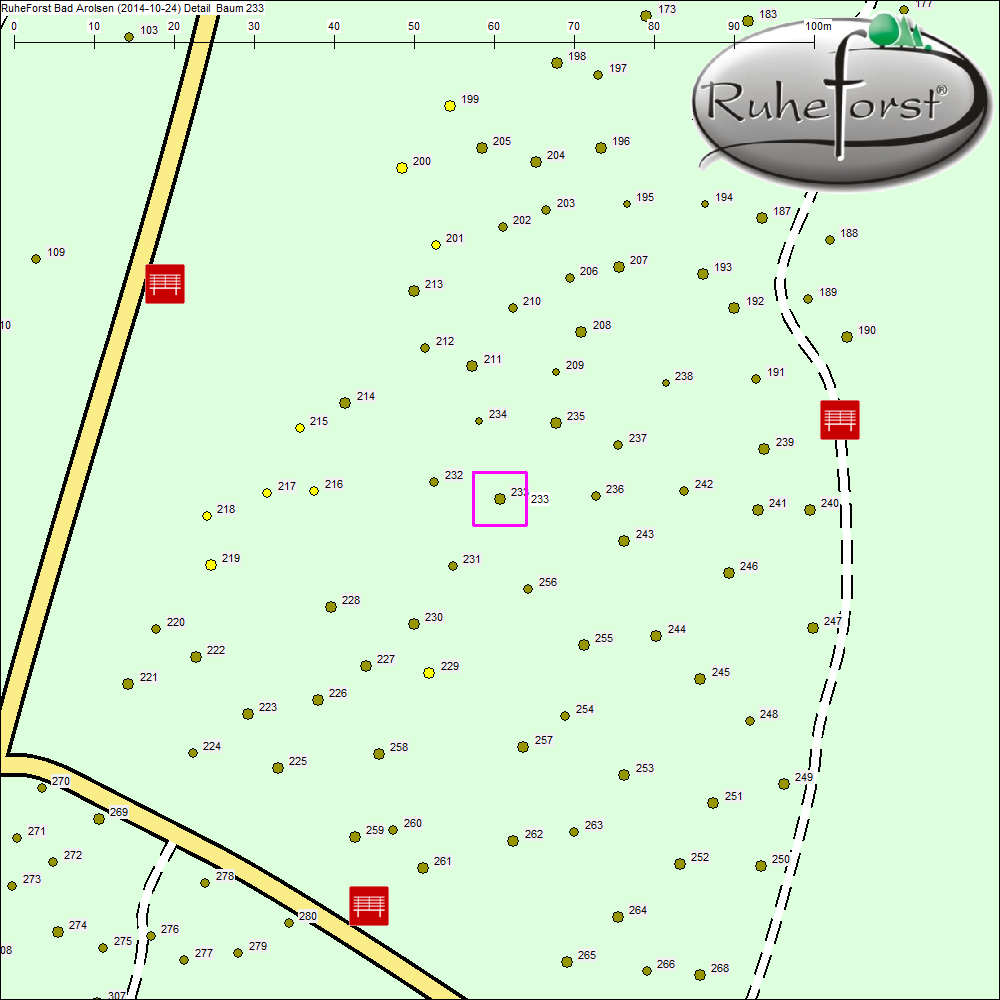 Detailkarte zu Baum 233
