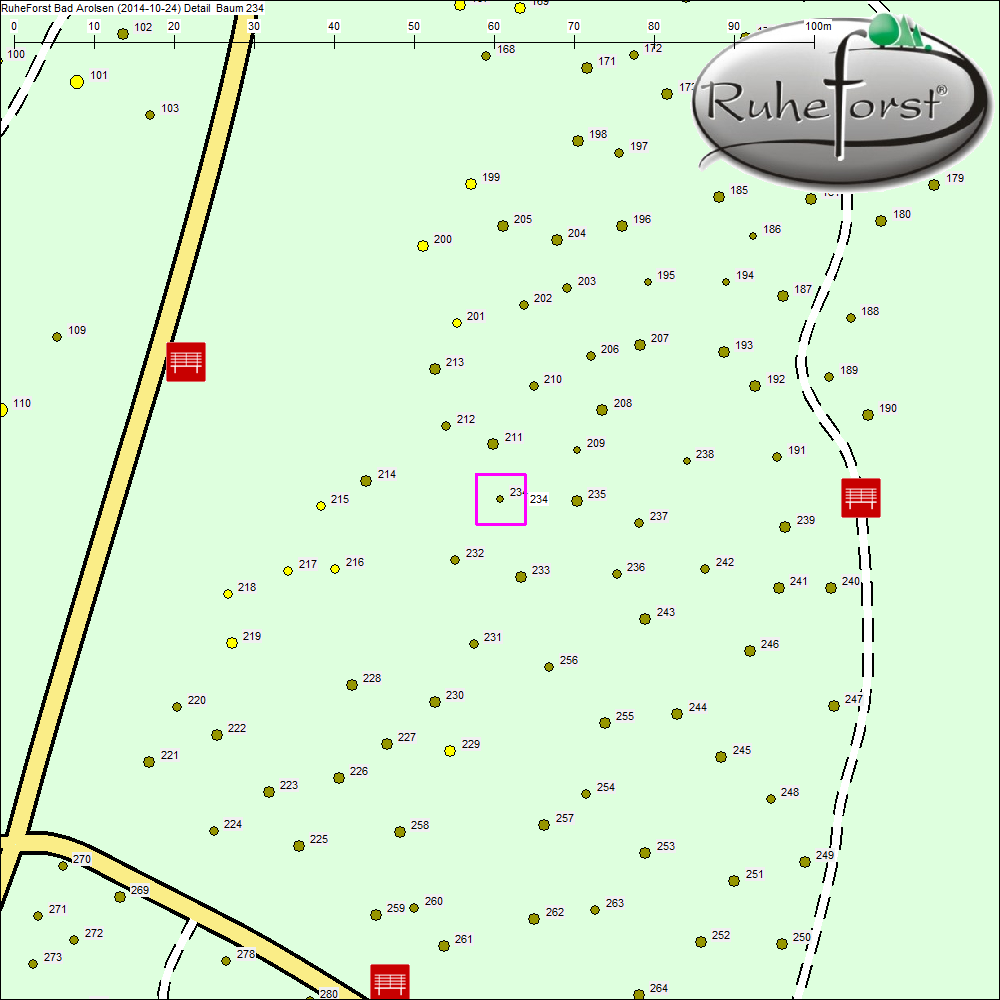 Detailkarte zu Baum 234