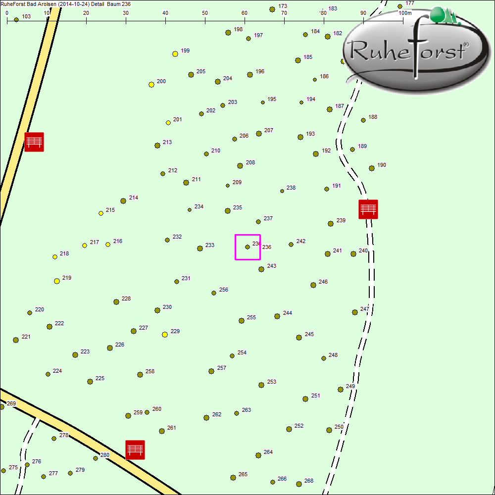Detailkarte zu Baum 236