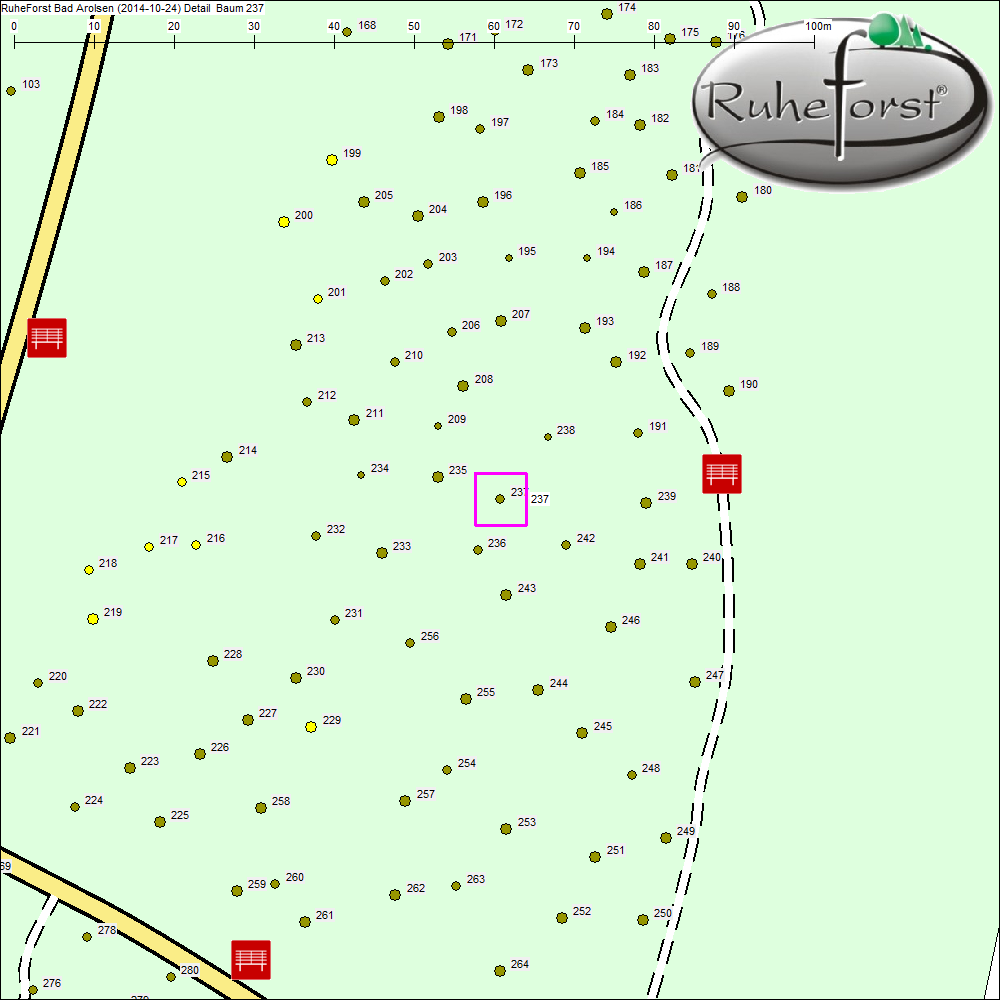 Detailkarte zu Baum 237
