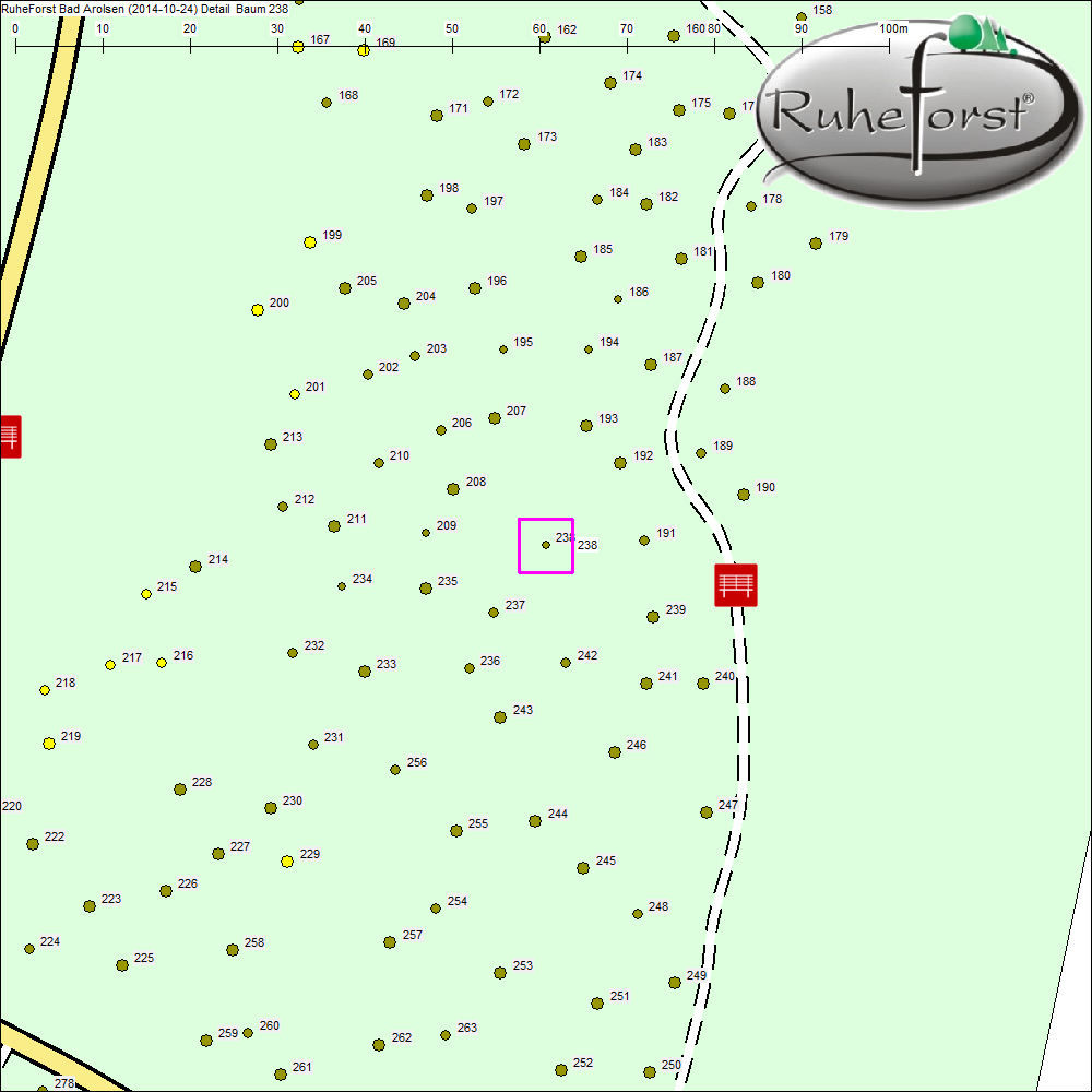 Detailkarte zu Baum 238