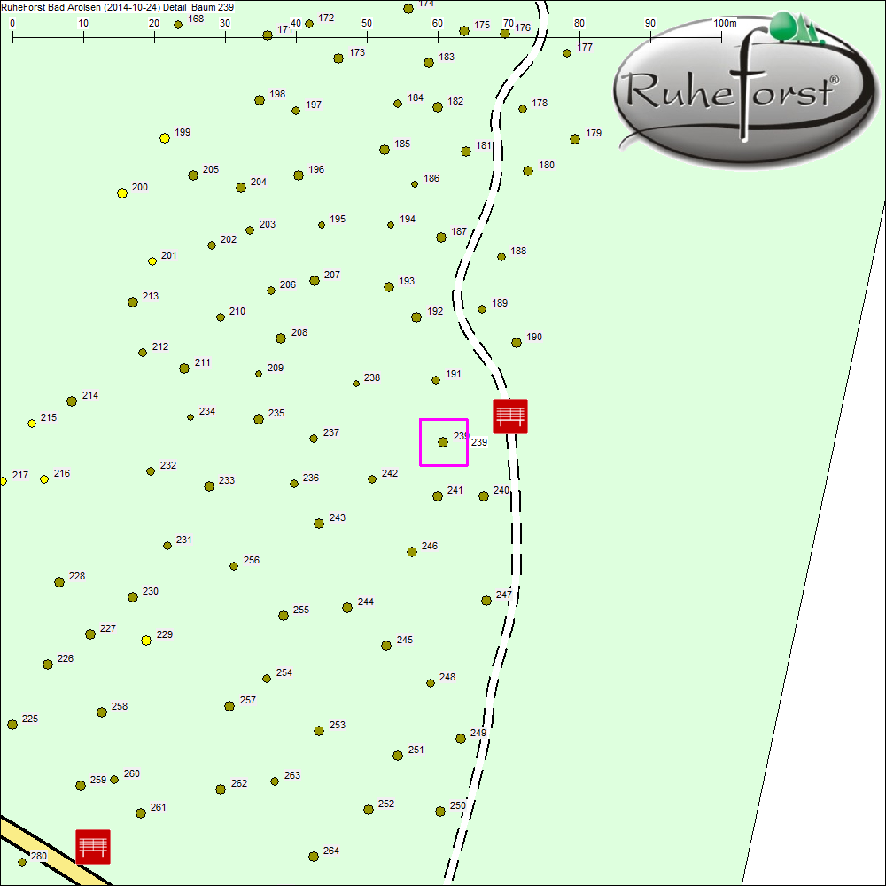Detailkarte zu Baum 239