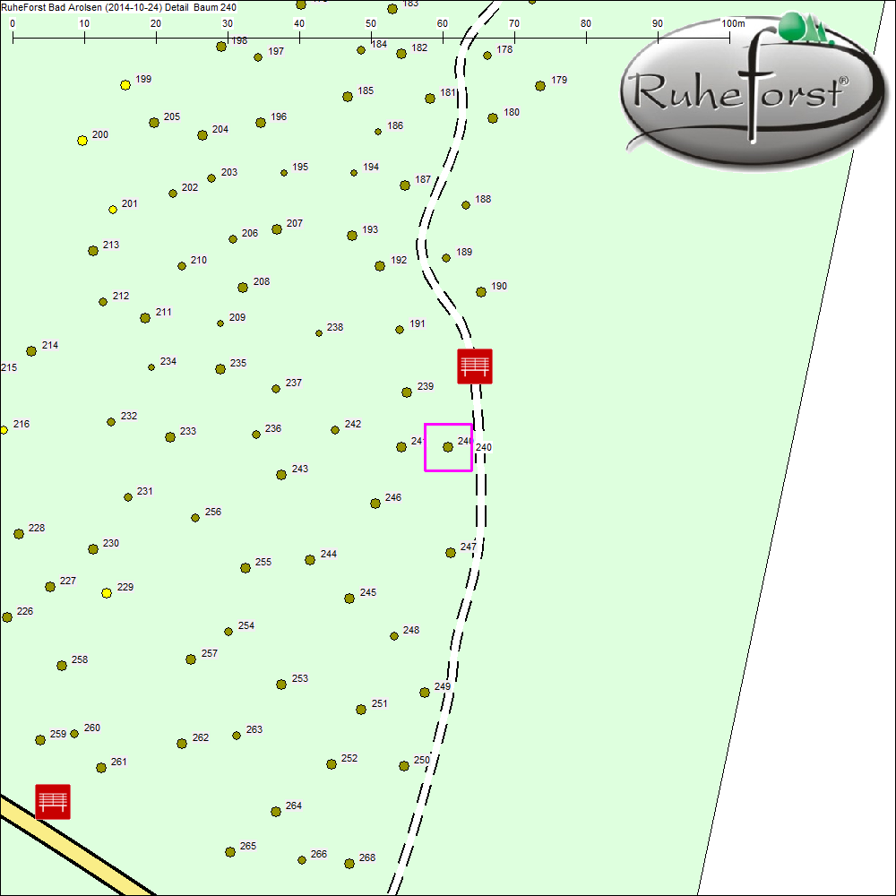 Detailkarte zu Baum 240