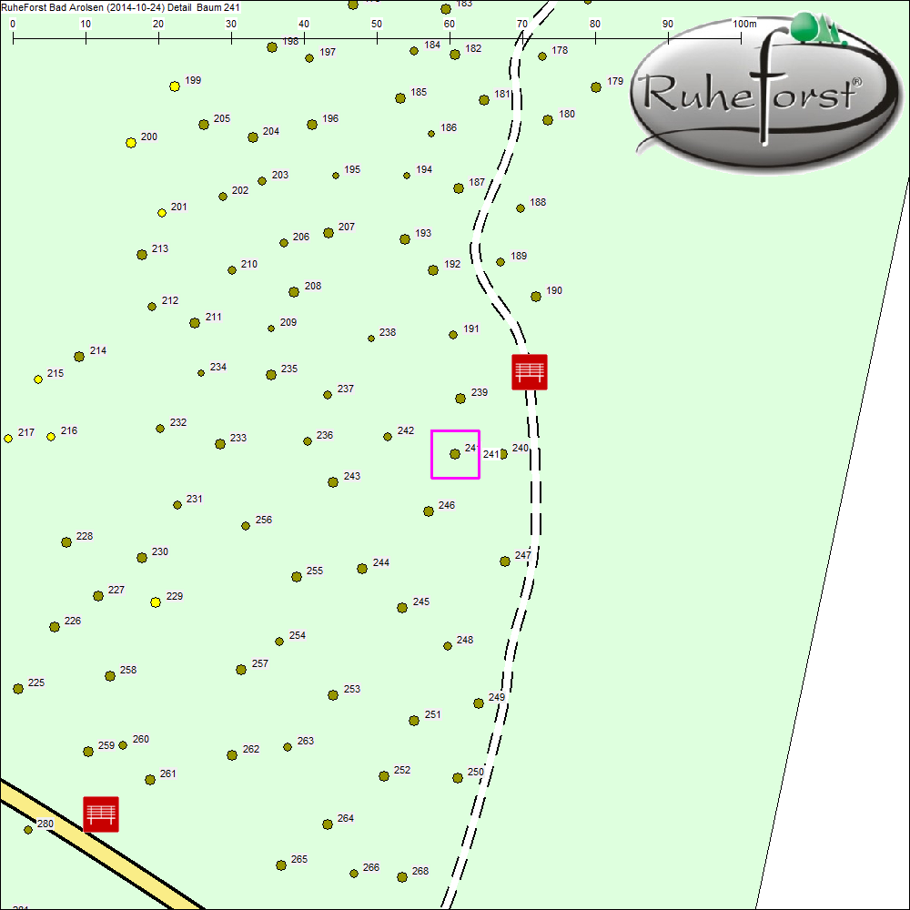 Detailkarte zu Baum 241