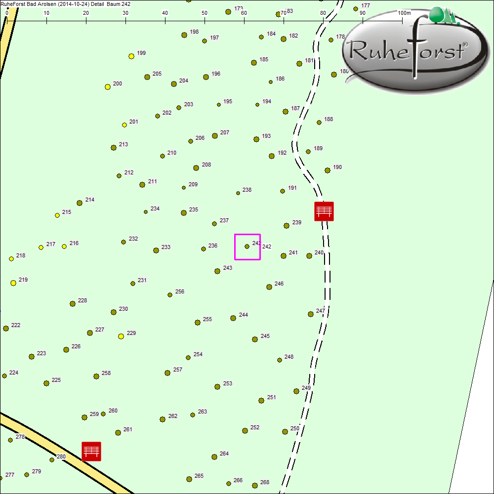 Detailkarte zu Baum 242