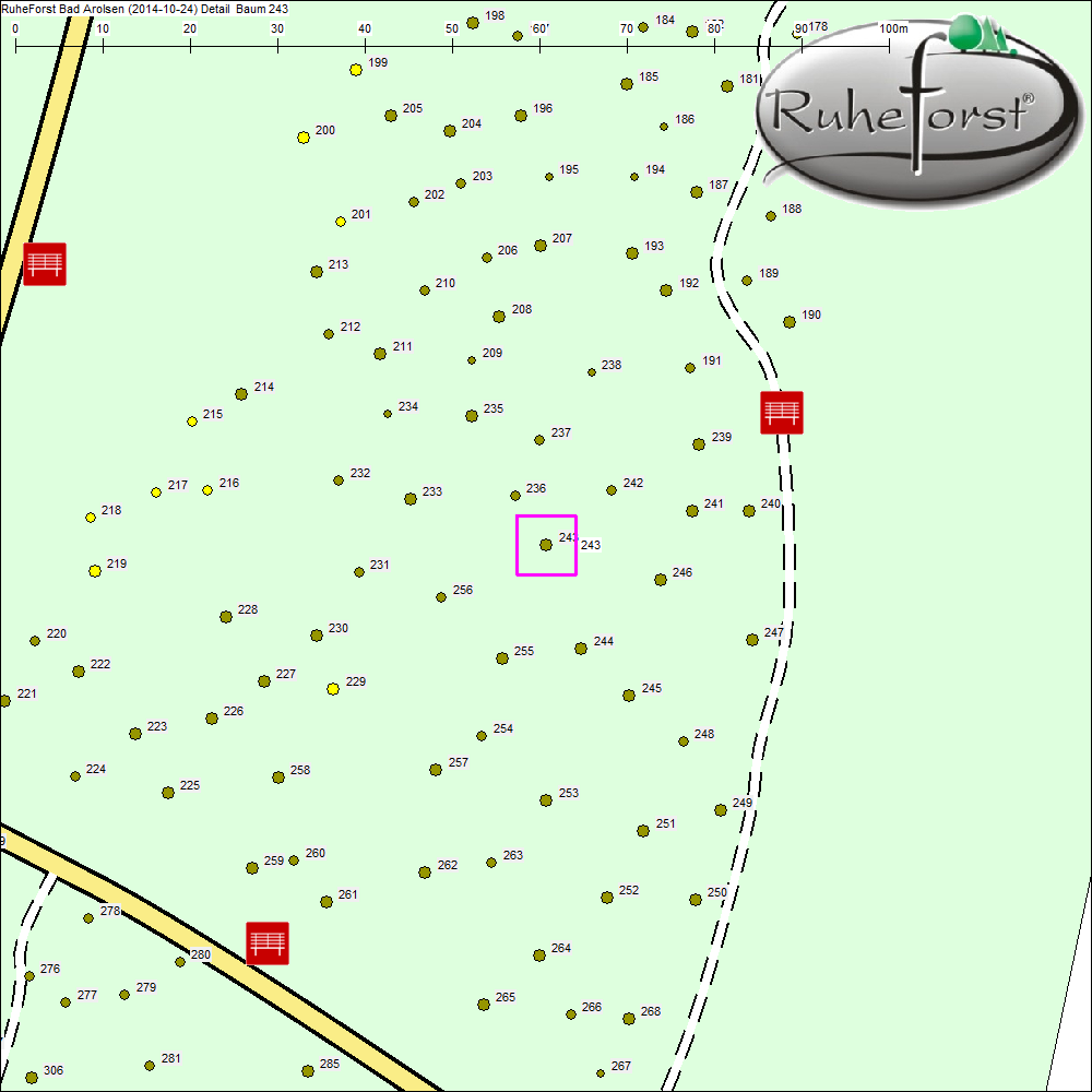 Detailkarte zu Baum 243