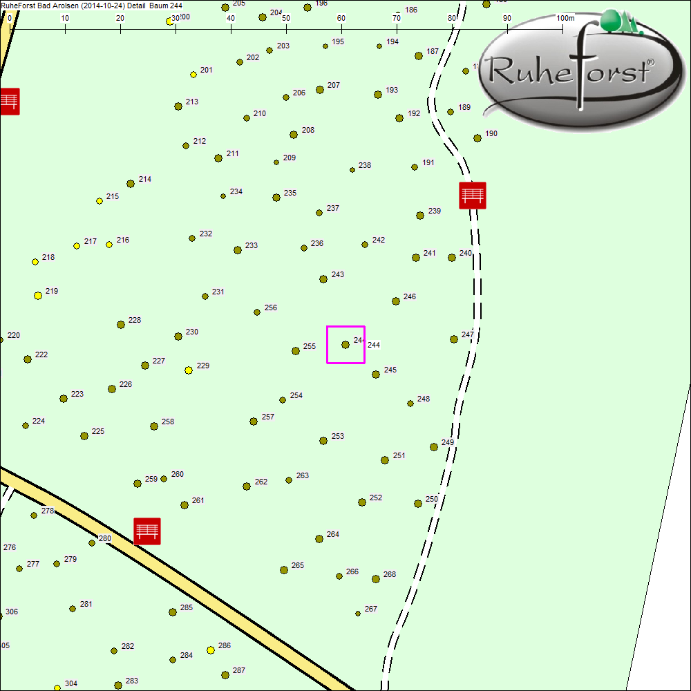 Detailkarte zu Baum 244
