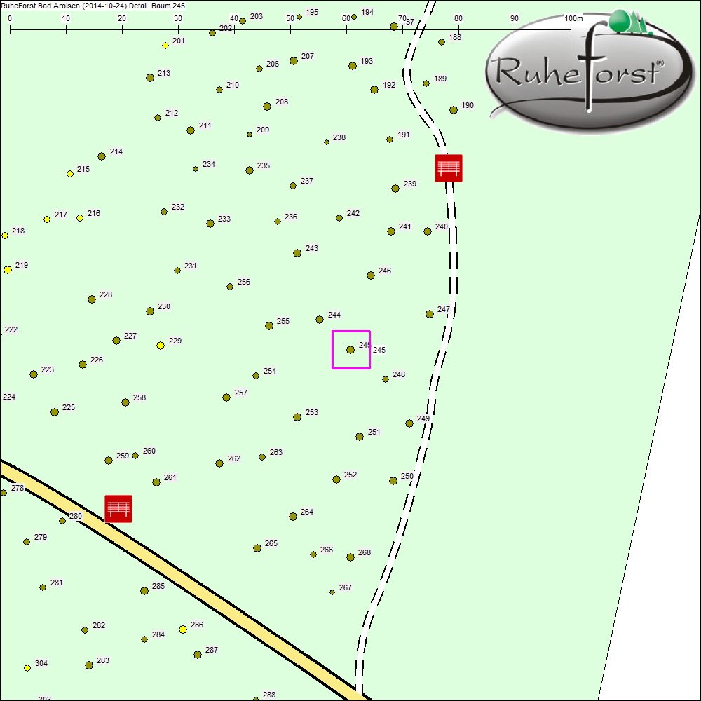 Detailkarte zu Baum 245