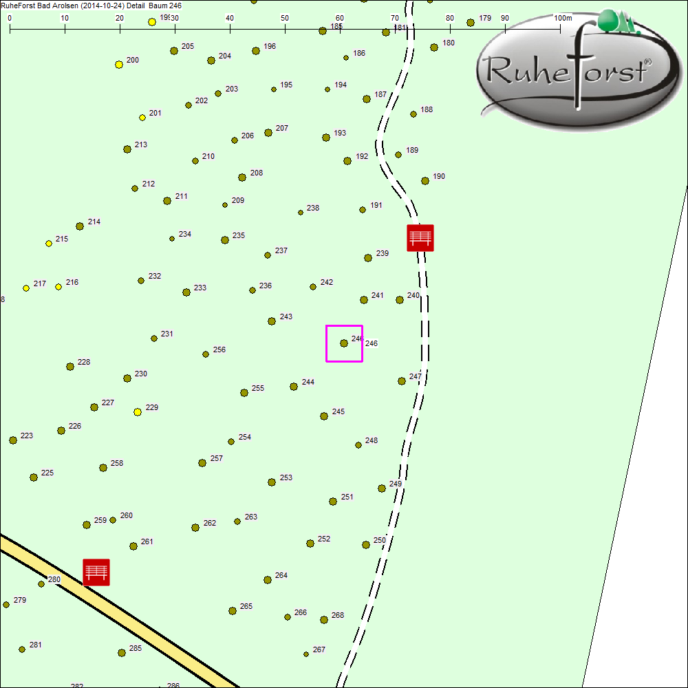 Detailkarte zu Baum 246