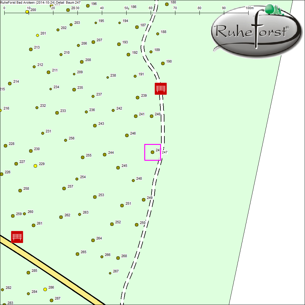 Detailkarte zu Baum 247