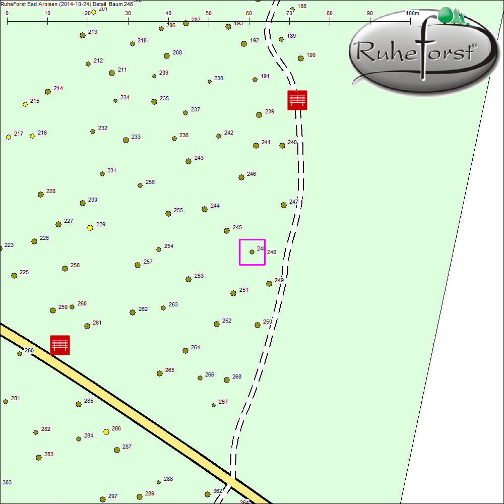 Detailkarte zu Baum 248