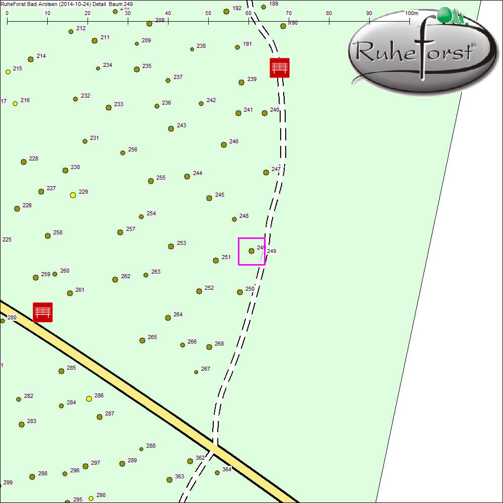 Detailkarte zu Baum 249