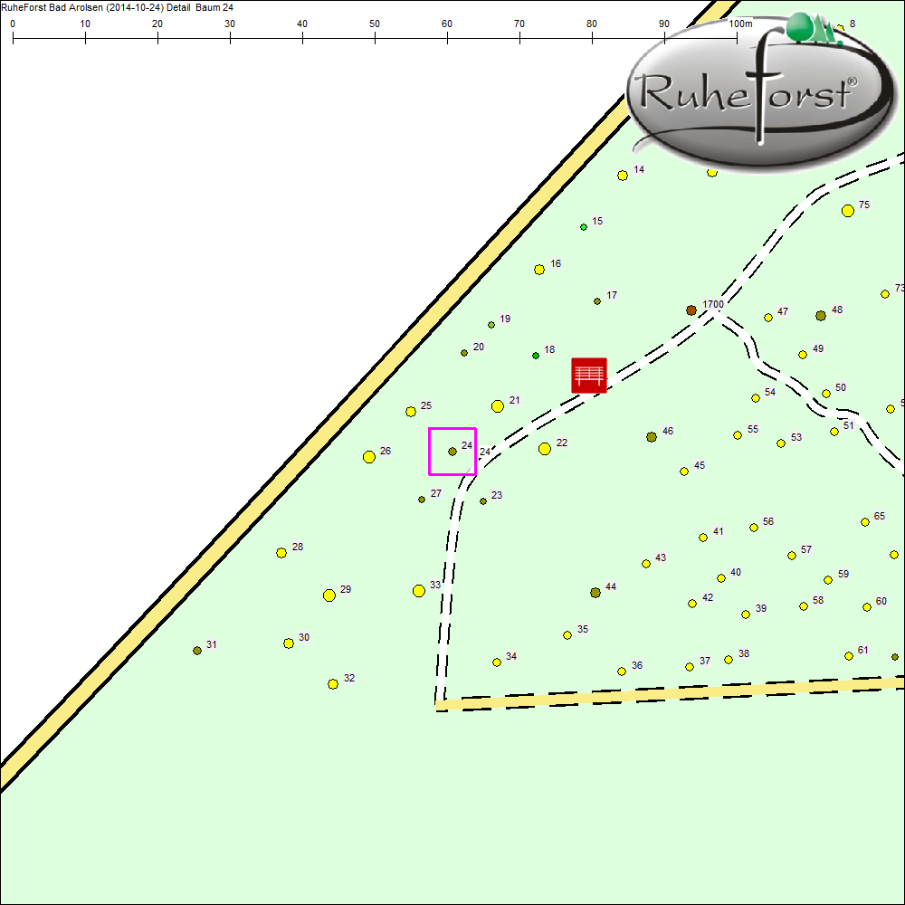 Detailkarte zu Baum 24