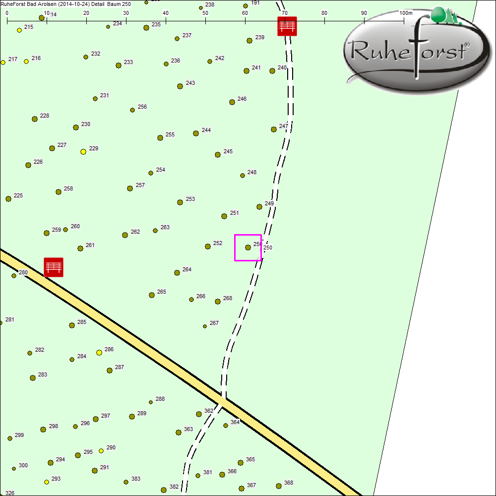 Detailkarte zu Baum 250