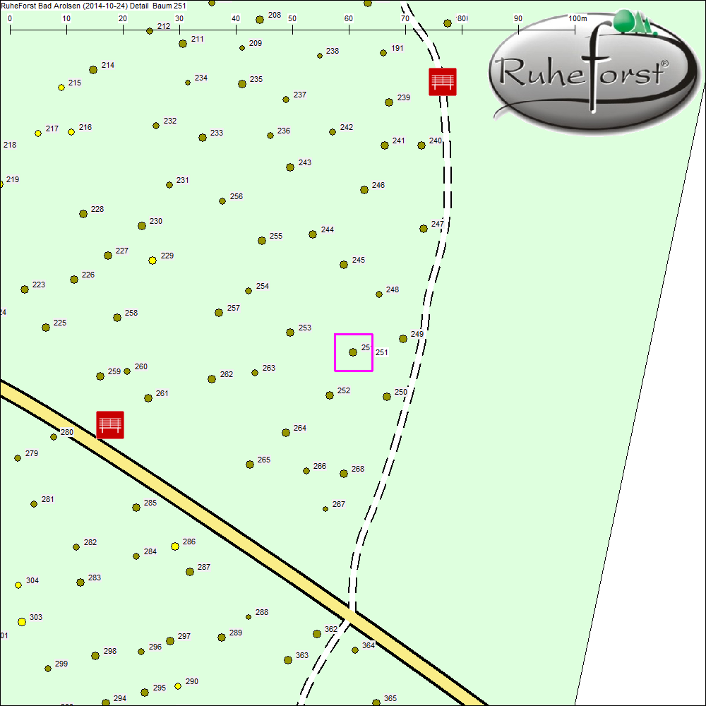 Detailkarte zu Baum 251