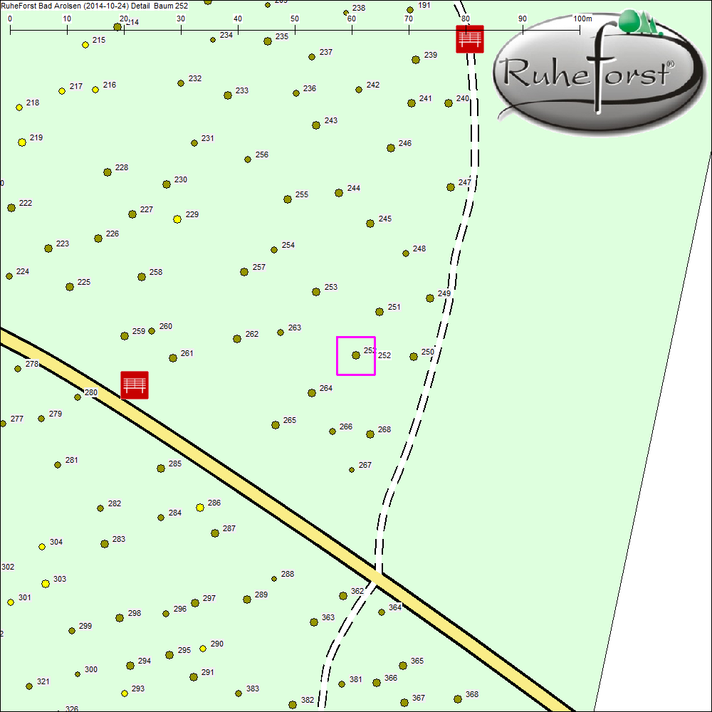 Detailkarte zu Baum 252