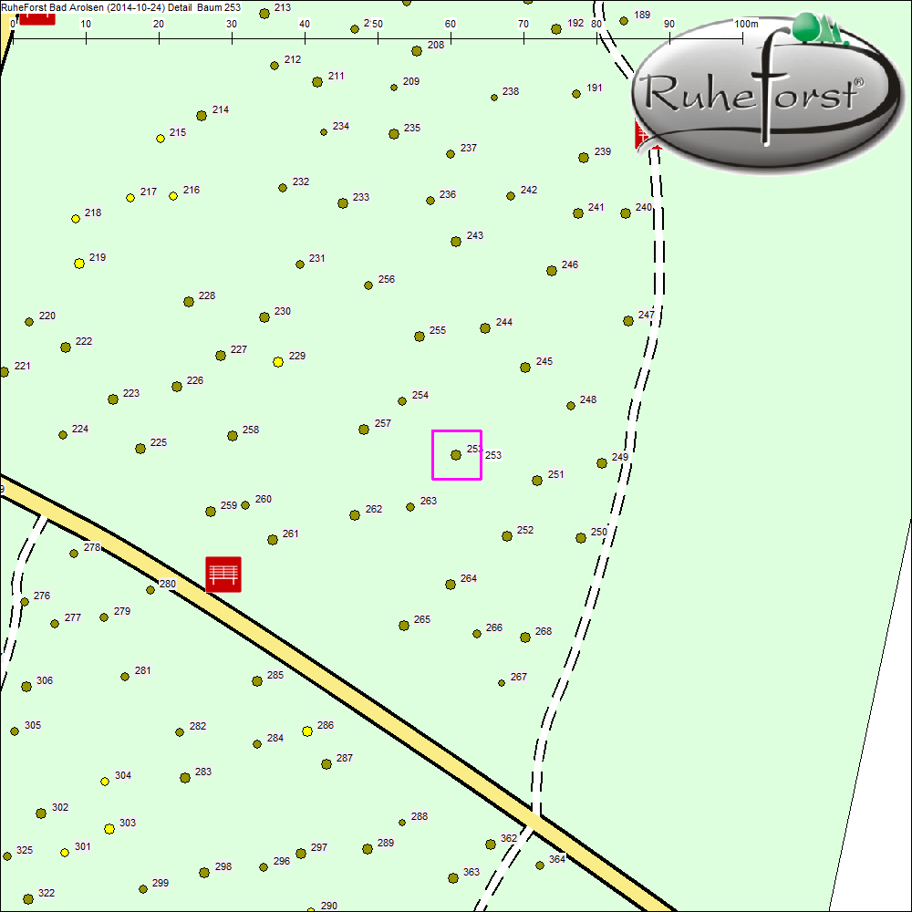 Detailkarte zu Baum 253