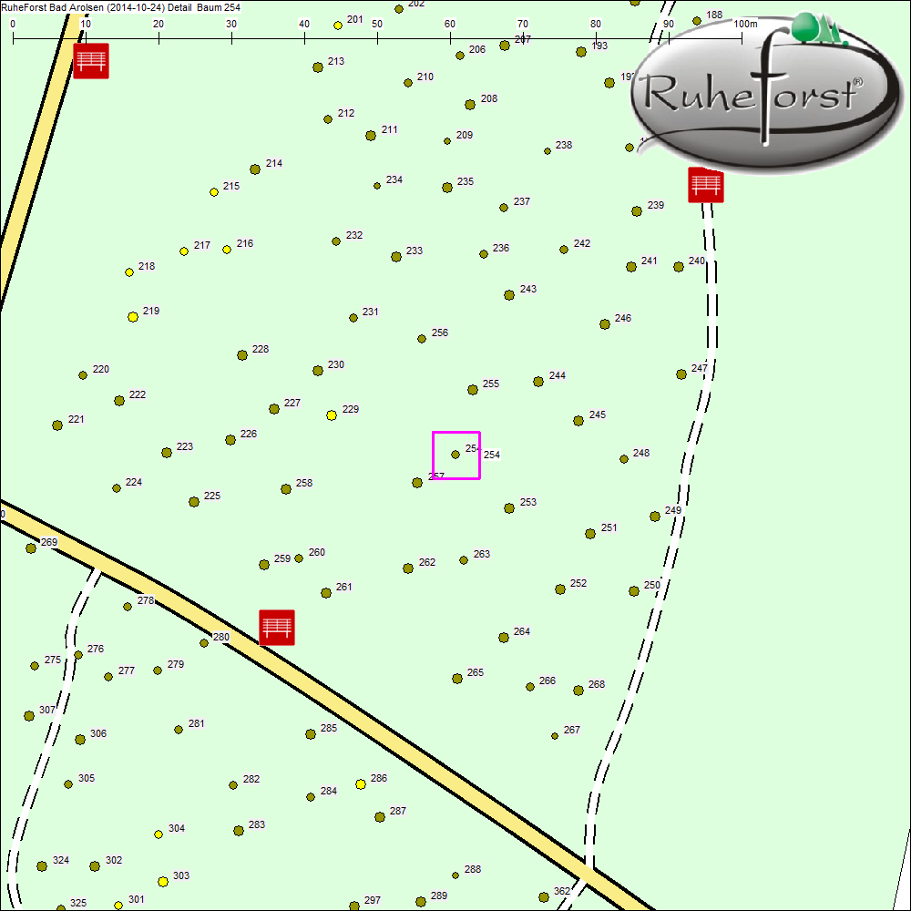 Detailkarte zu Baum 254