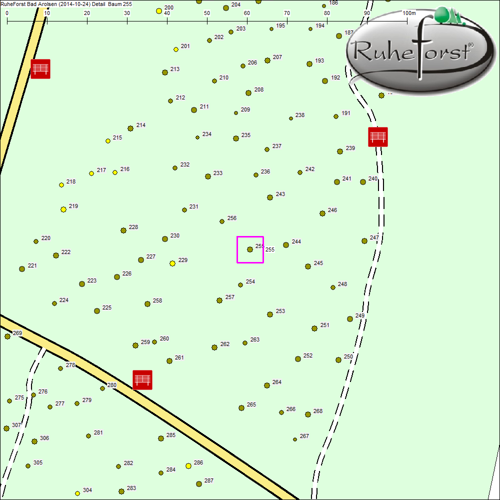 Detailkarte zu Baum 255