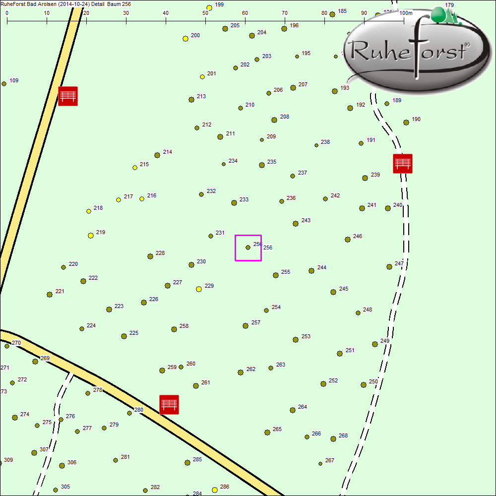Detailkarte zu Baum 256