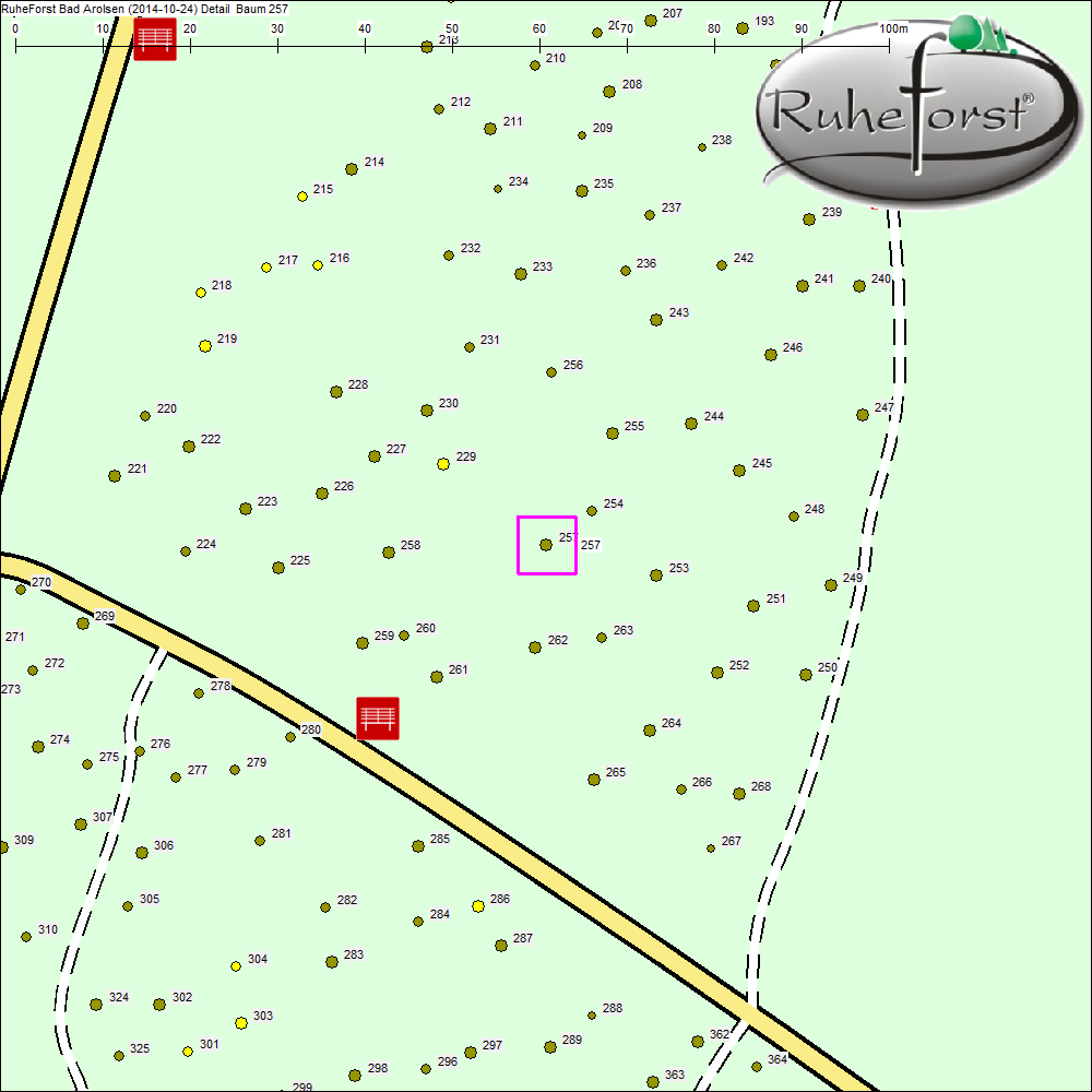 Detailkarte zu Baum 257