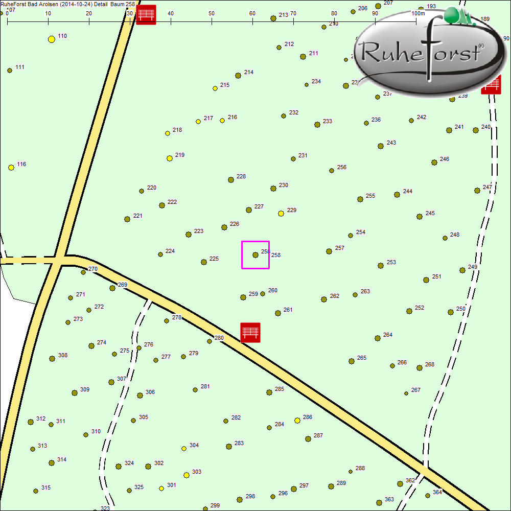 Detailkarte zu Baum 258