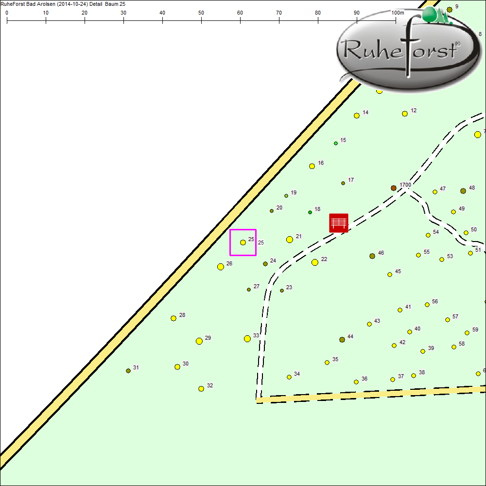 Detailkarte zu Baum 25