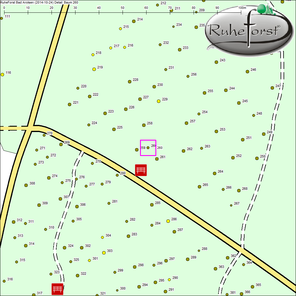 Detailkarte zu Baum 260