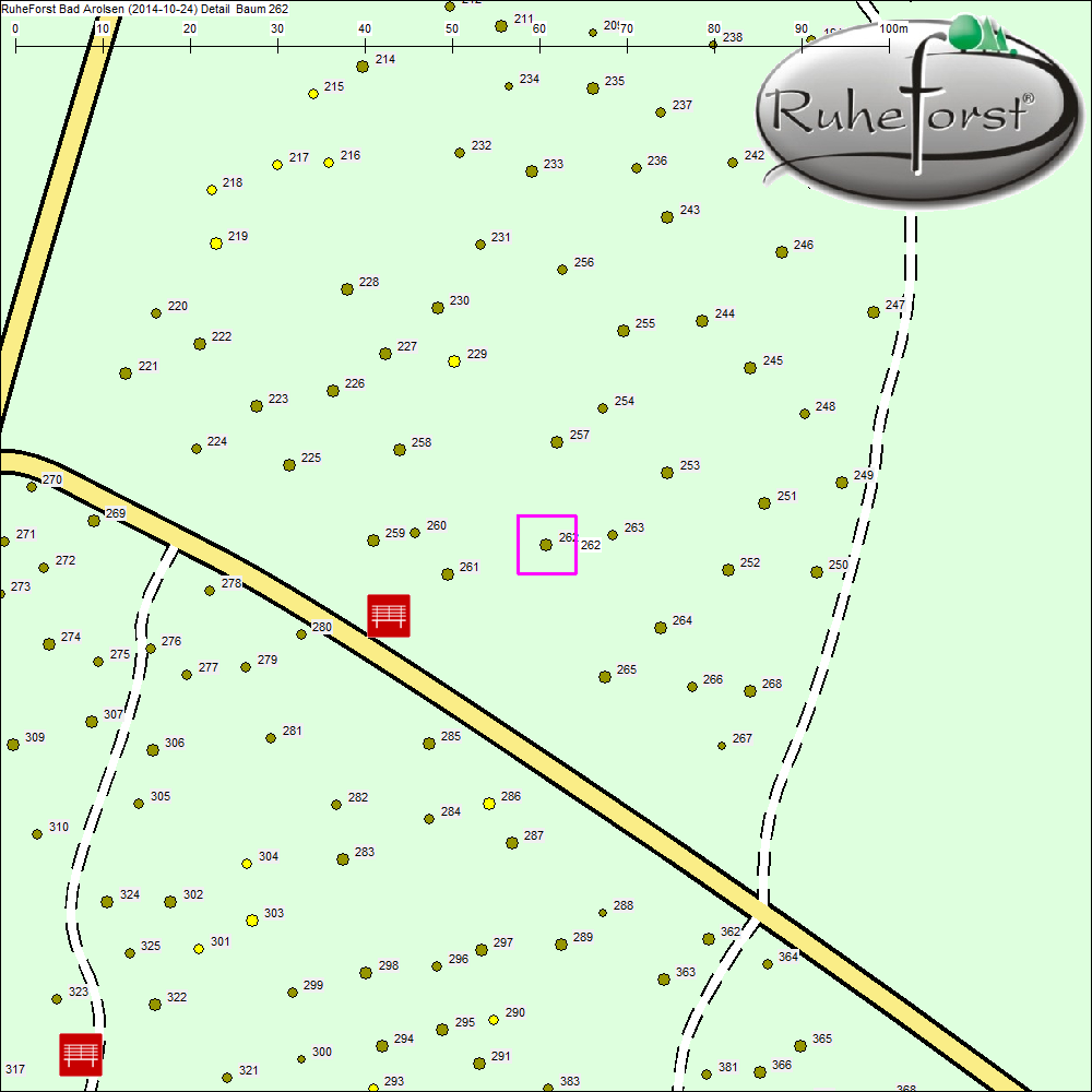 Detailkarte zu Baum 262