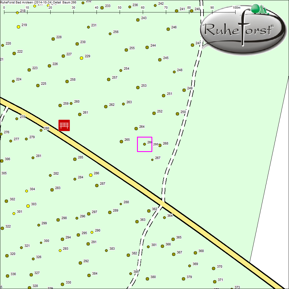 Detailkarte zu Baum 266