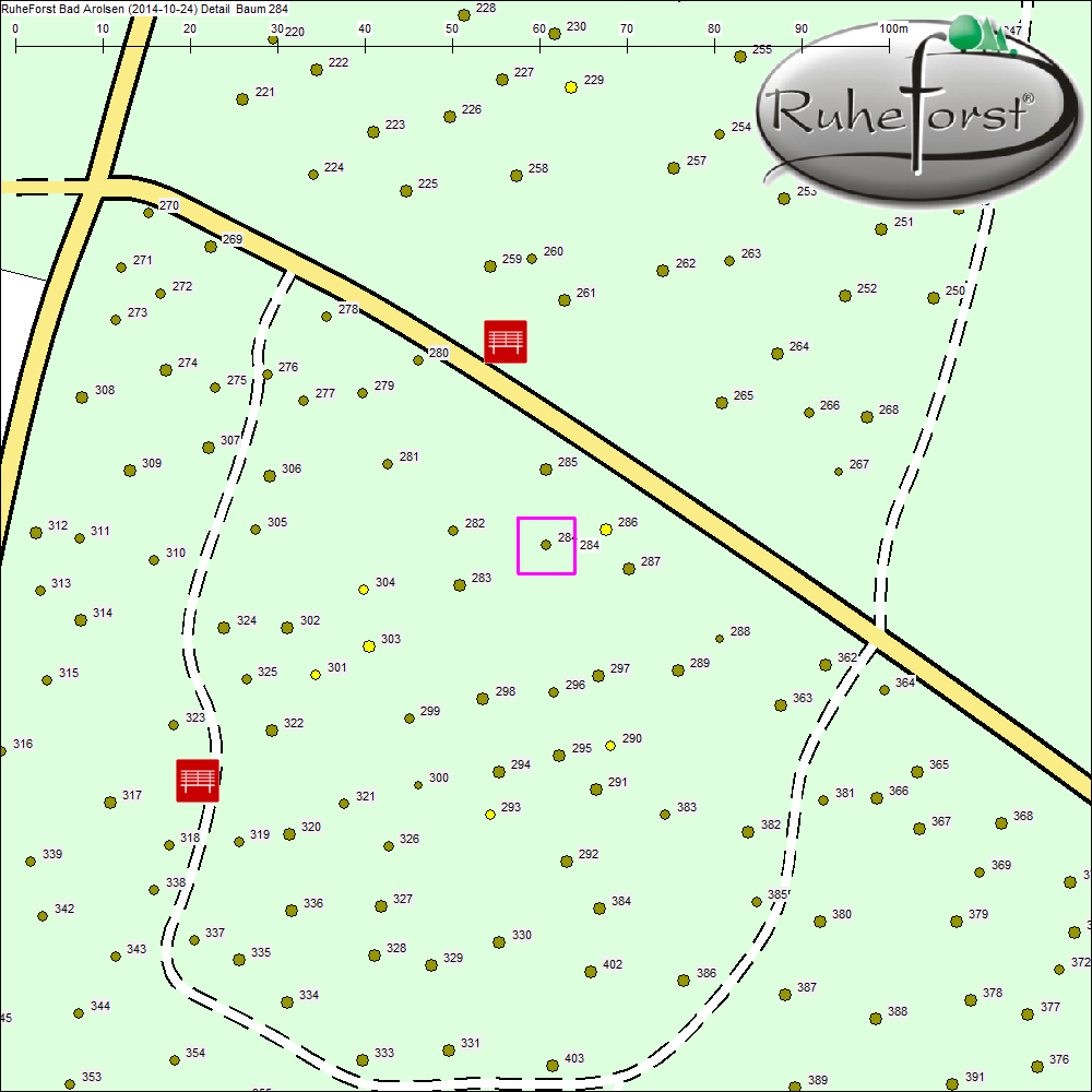 Detailkarte zu Baum 284